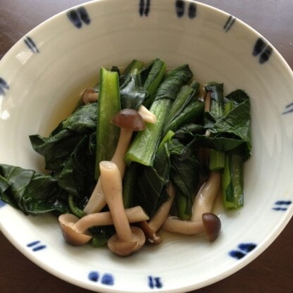 いつも生の小松菜を煮てましたが炒めると美味しくなりますね☆